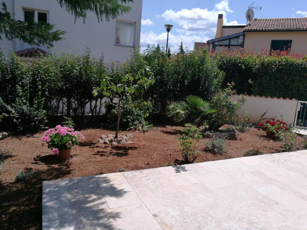 Ferienhaus Bozena Appartment 1 Vrsar Bagian luar foto