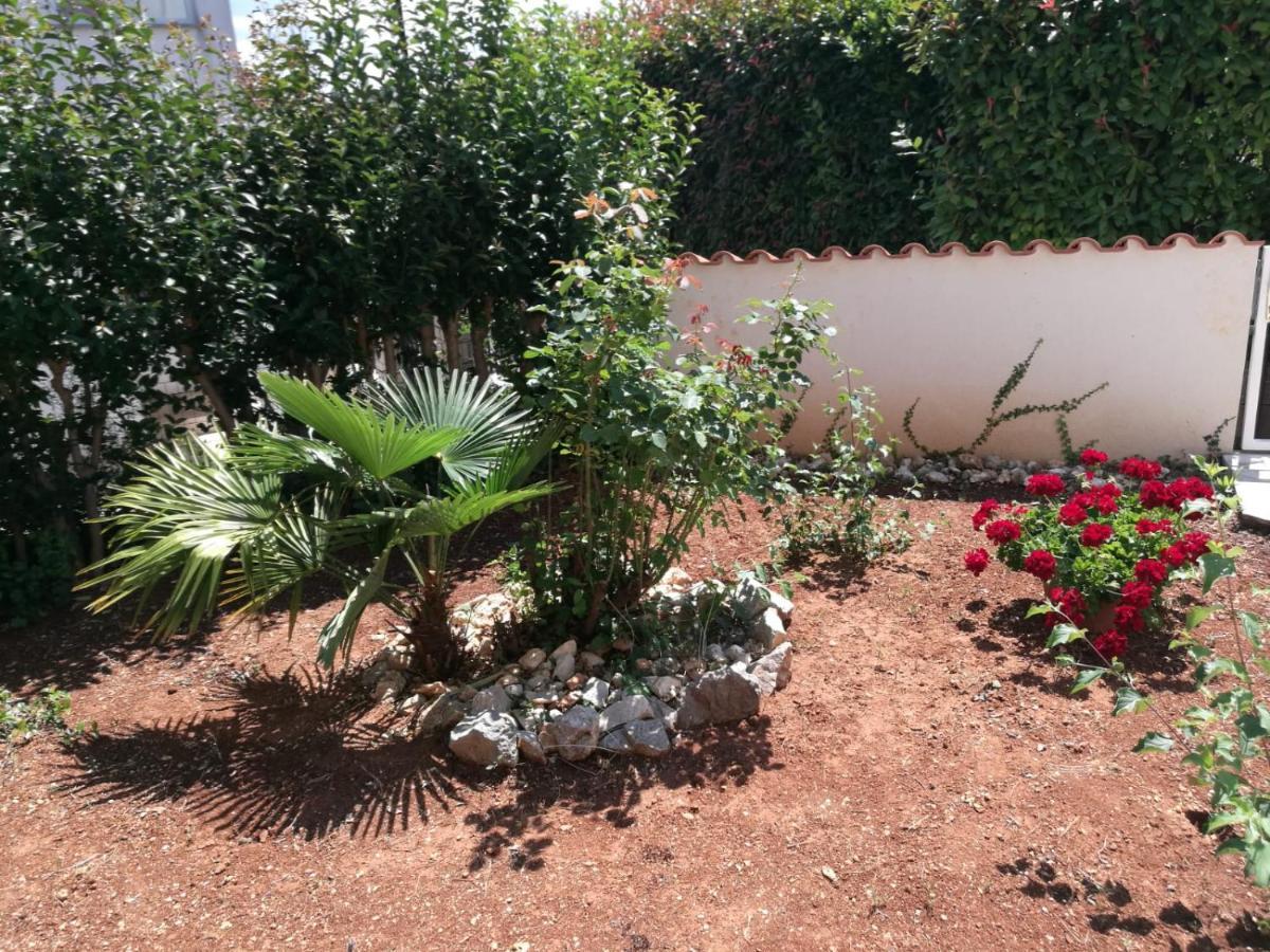 Ferienhaus Bozena Appartment 1 Vrsar Bagian luar foto